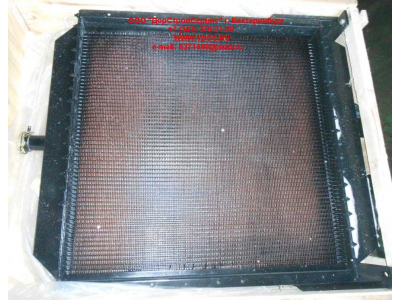 Радиатор охлаждения двигателя CDM 855EK Lonking CDM (СДМ) CDM855EK.01I.04 фото 1 Нижневартовск