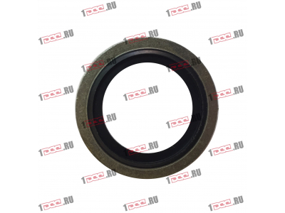 Шайба уплотнительная резинометаллическая D-24 H2 HOWO (ХОВО)  фото 1 Нижневартовск